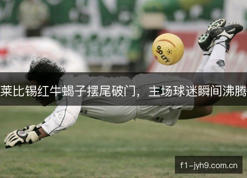 莱比锡红牛蝎子摆尾破门，主场球迷瞬间沸腾